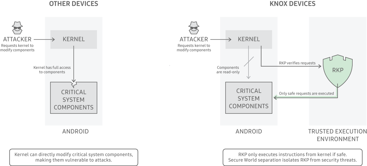 RKP knox diagram